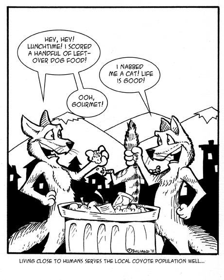 comic-2011-02-10-Coyotes.gif