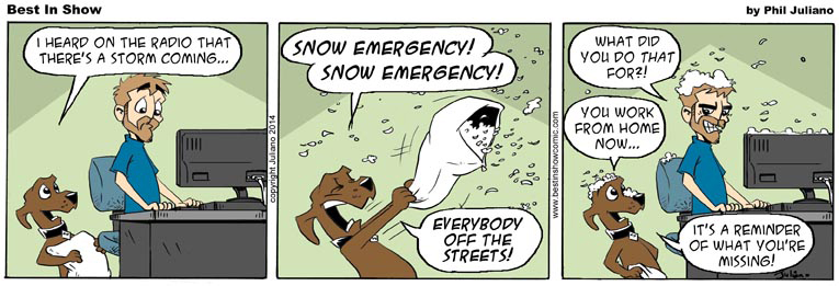 2014-02-24 Snow Emergency