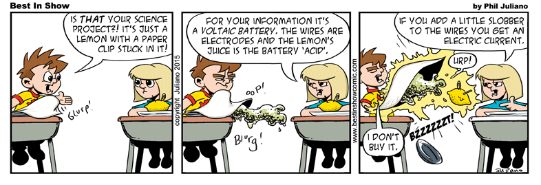 2015-04-08 Voltaic Battery